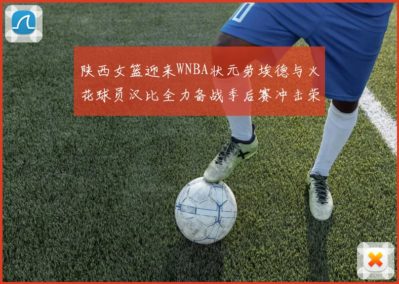 陕西女篮迎来WNBA状元劳埃德与火花球员汉比全力备战季后赛冲击荣耀