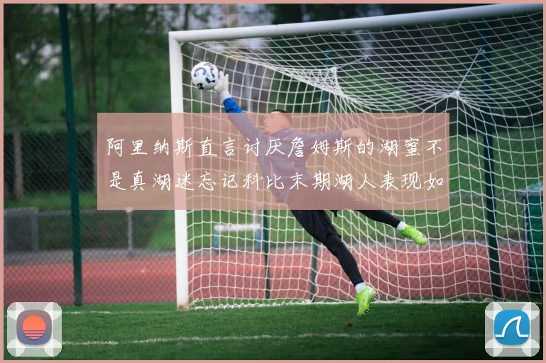 阿里纳斯直言讨厌詹姆斯的湖蜜不是真湖迷忘记科比末期湖人表现如何惨淡